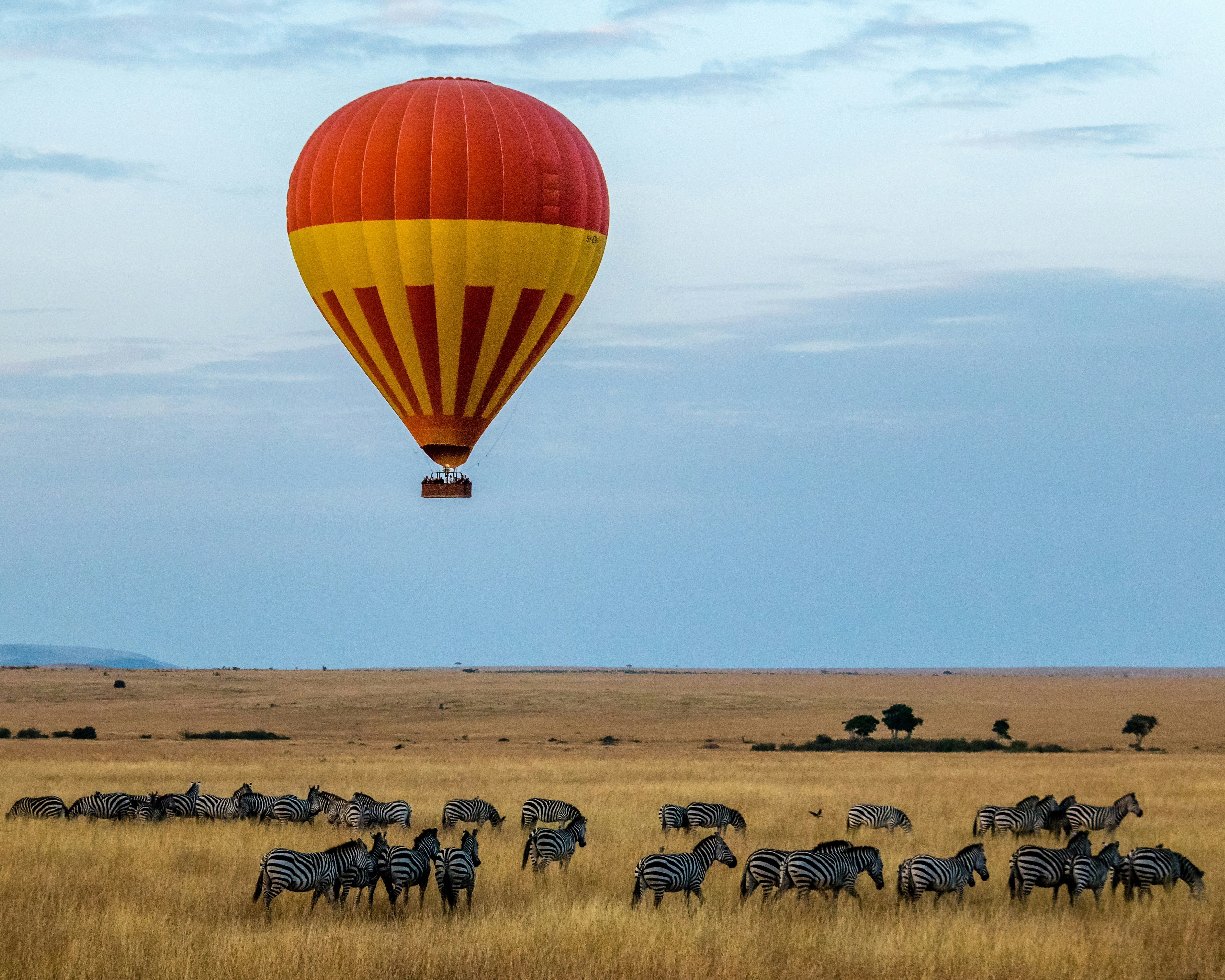 Kenya safari package game drive with lions in Maasai Mara