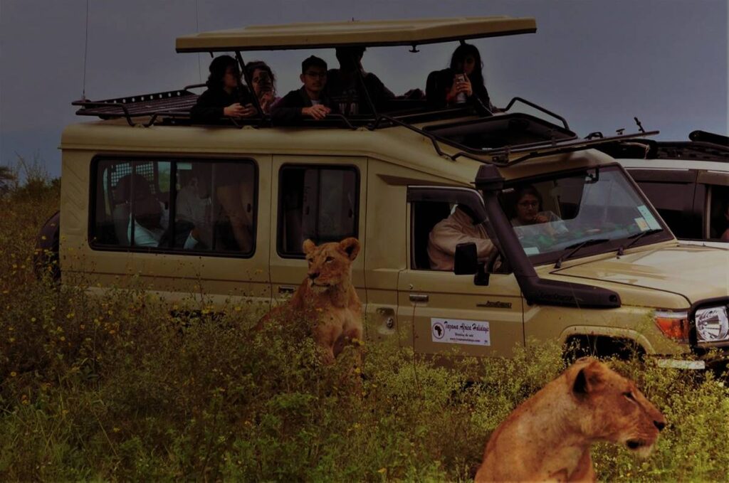 Tanzania safari plains