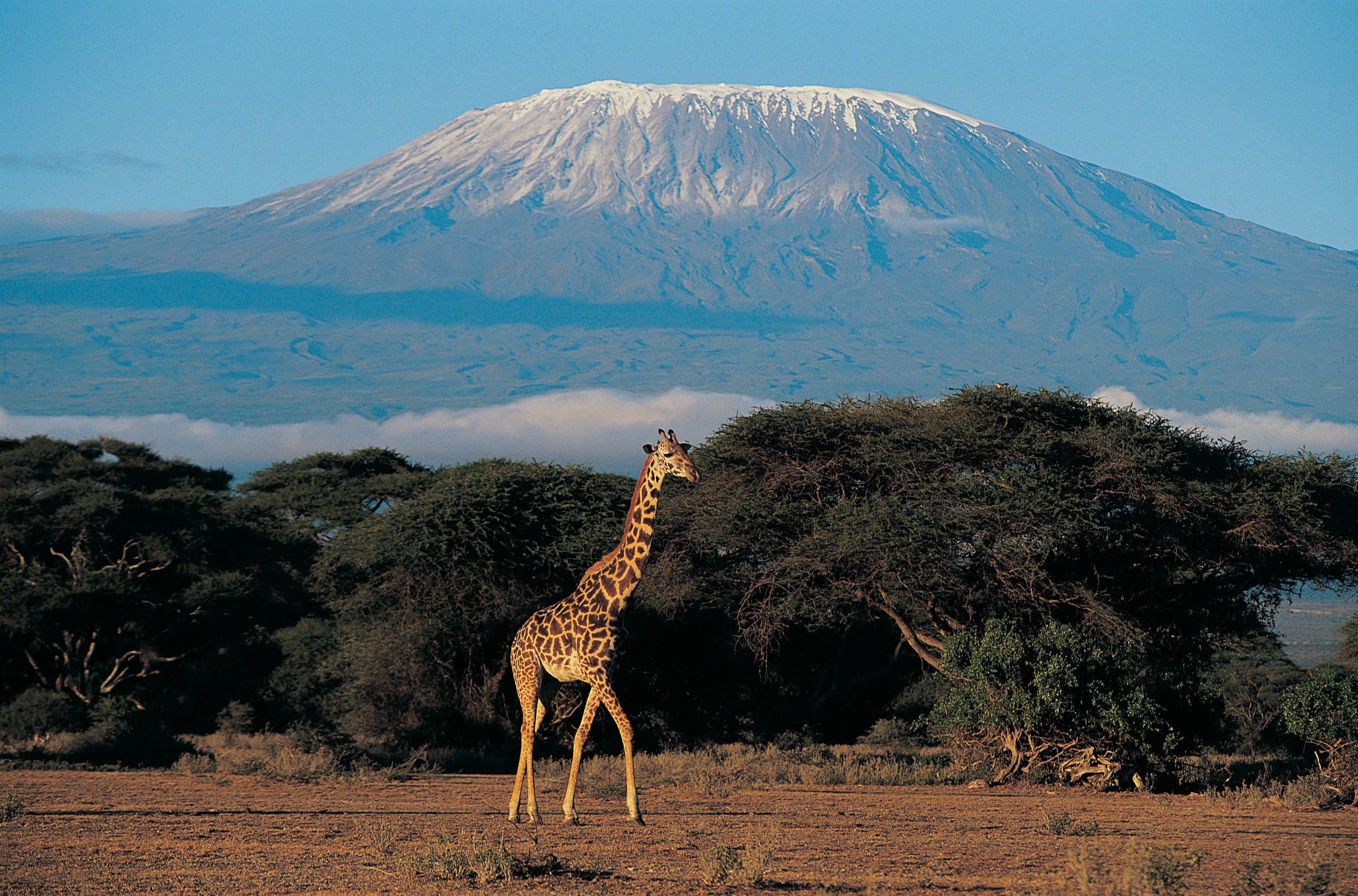 Amboseli National Park