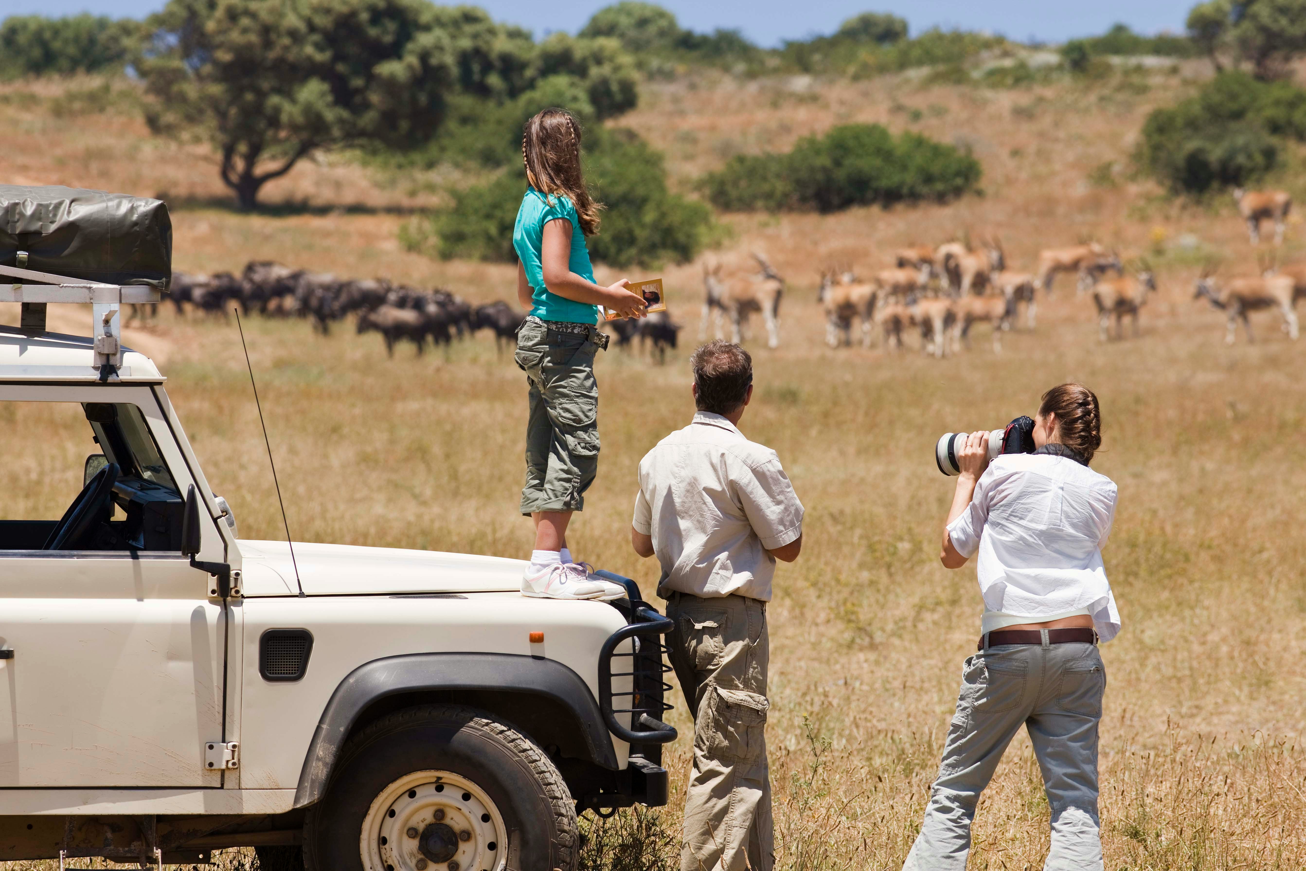 Wildlife photographer capturing animals on an African safari