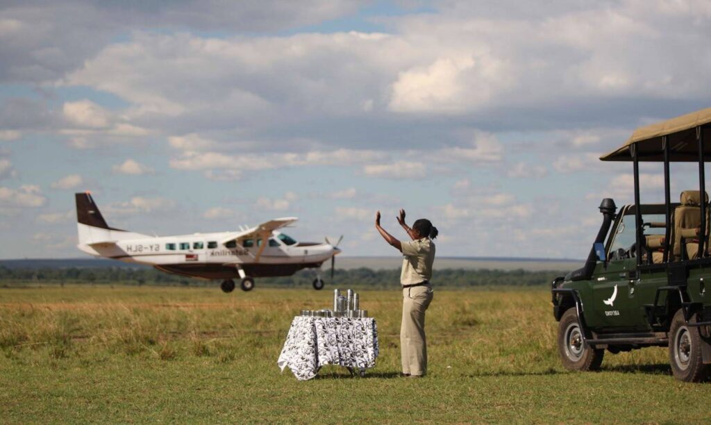 Serengeti national park Tanzania
