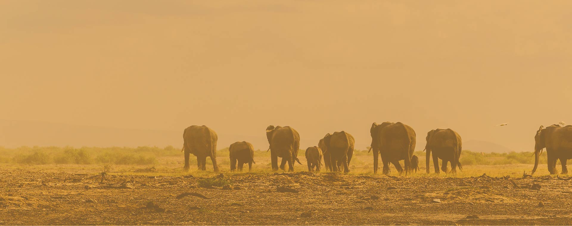 3-Days Masai Mara Flying Package