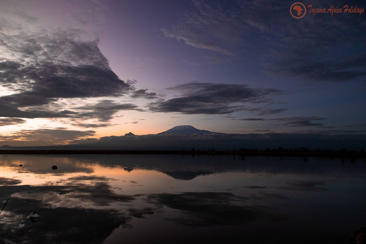 3-Day Tazama Amboseli Safari
