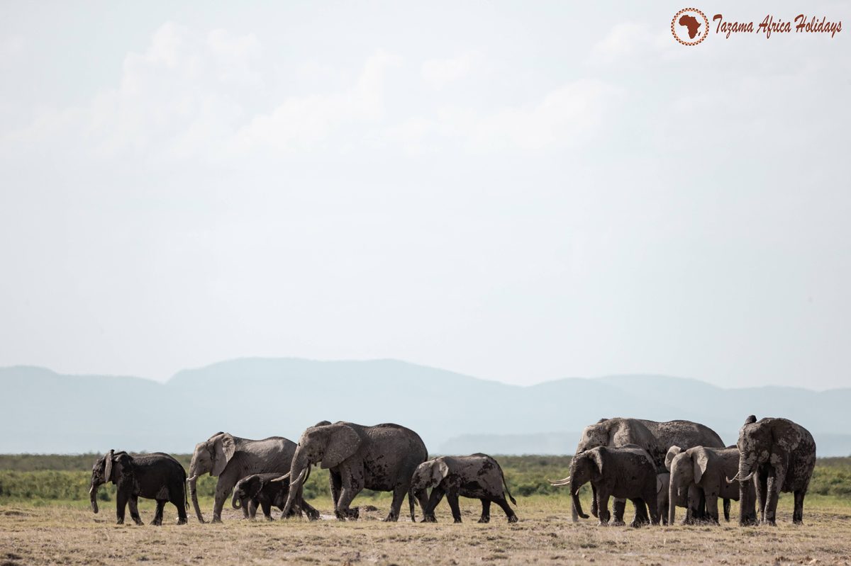 2 Days Serengeti Fly-In Package