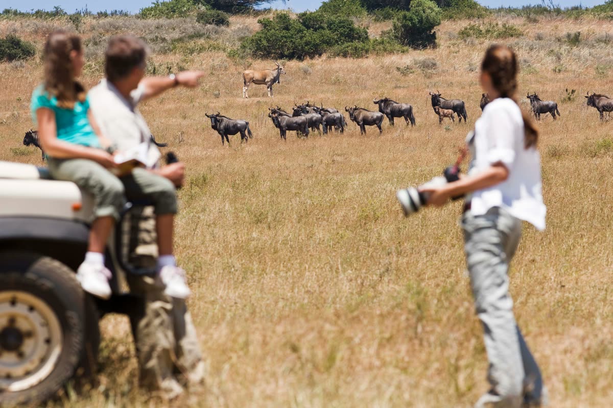 Akagera National Park safari
