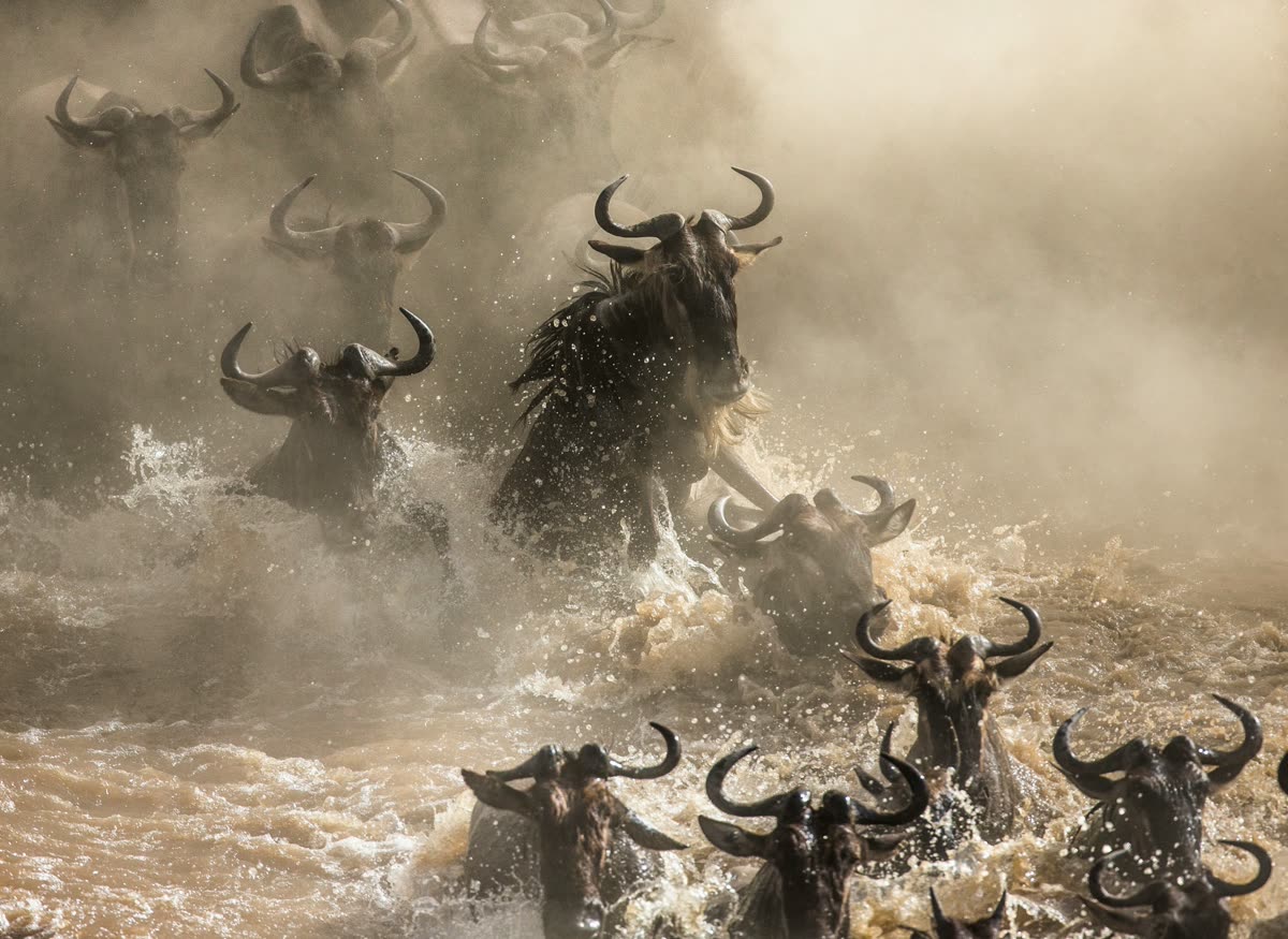 On Game Drive