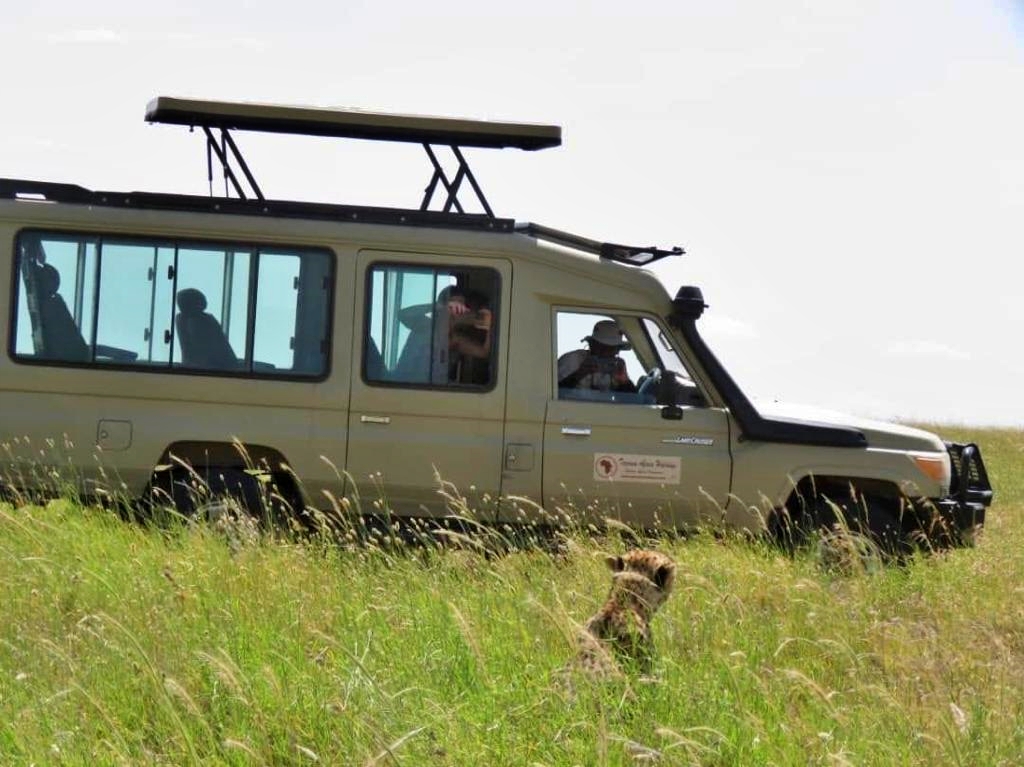 Things to do in Nairobi Kenya